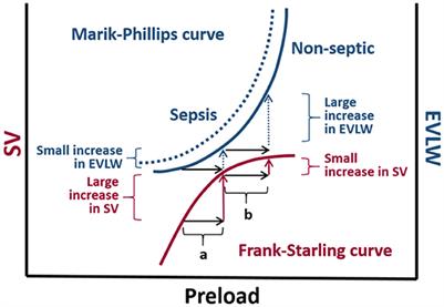 Fluid management in septic patients with pulmonary hypertension, review of the literature